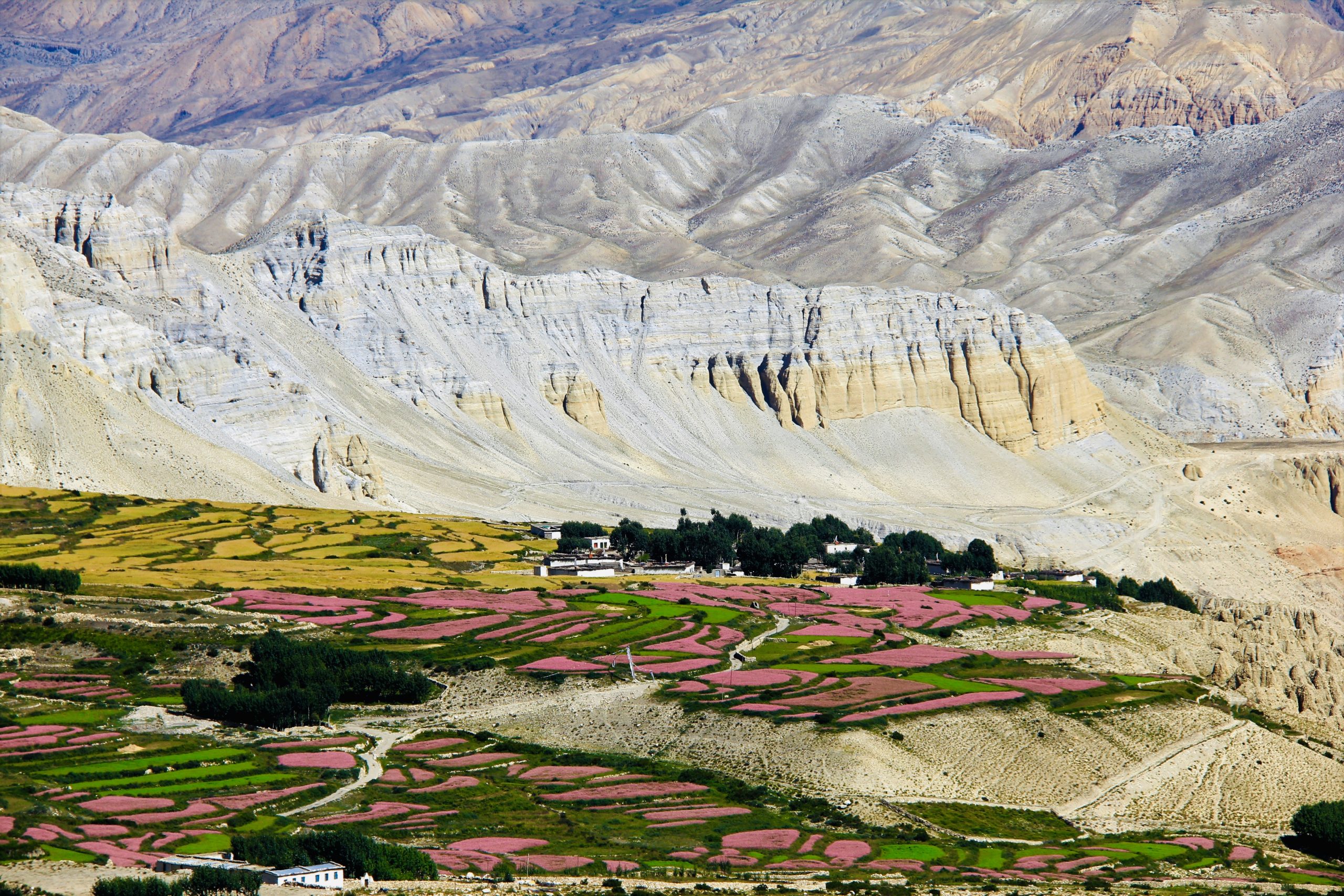 Upper Mustang Trek