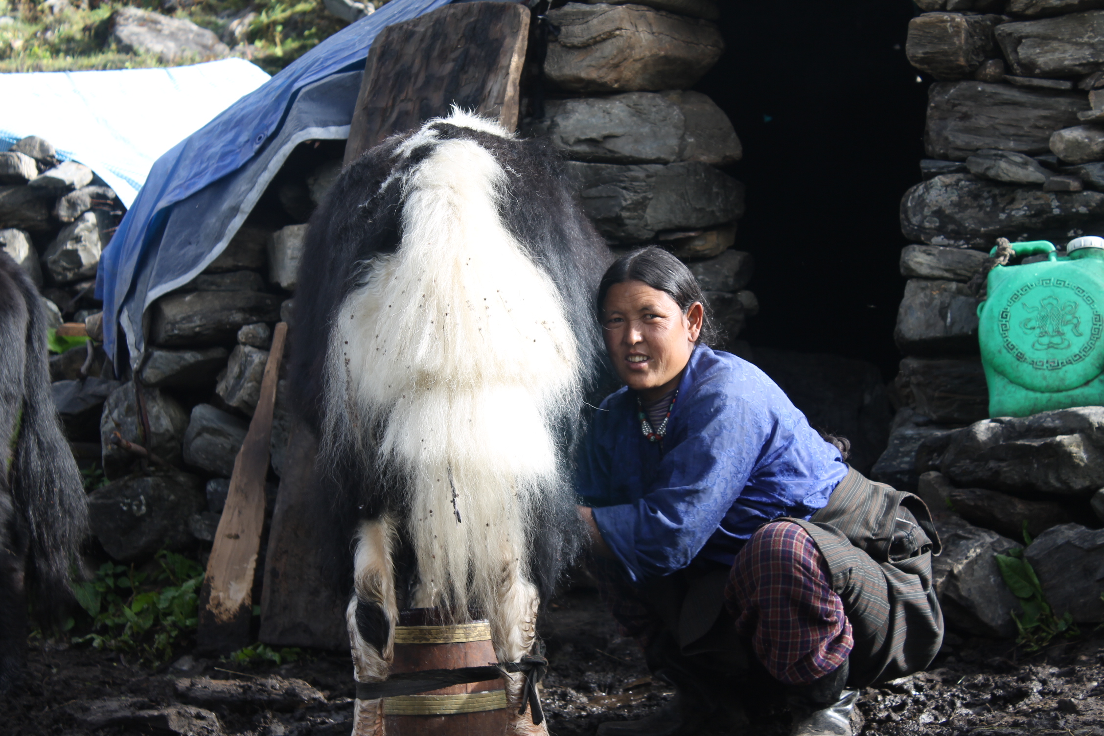 Saipal Base Camp Trek Humla