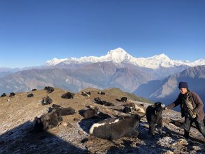 Khopra Danda Trek