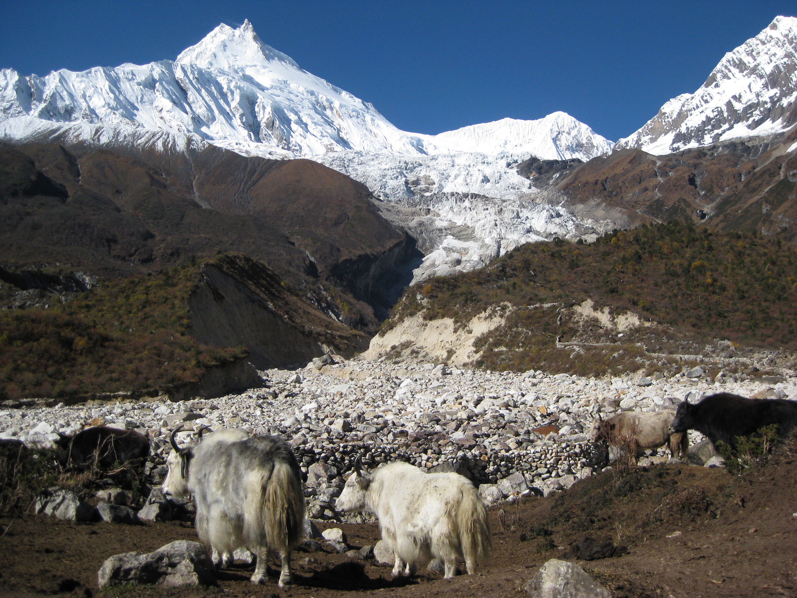 Manaslu Circuit Trek