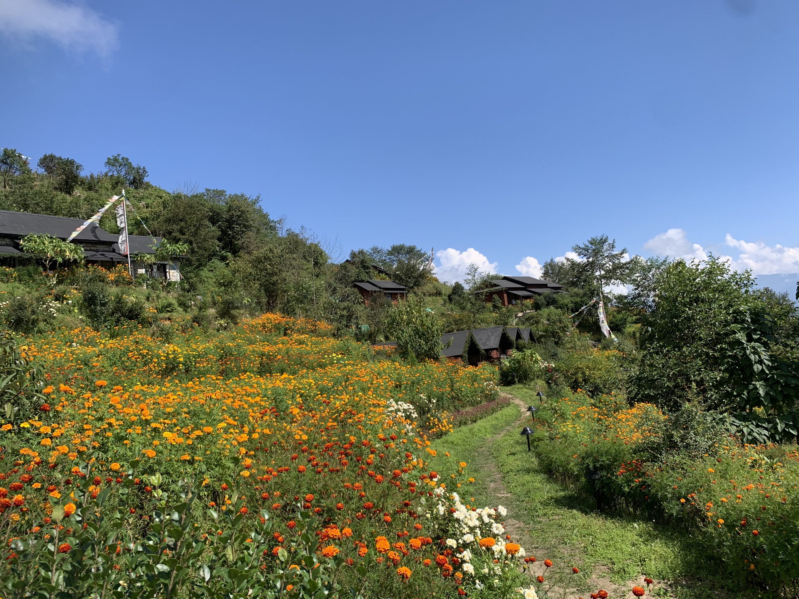 Weekend Eco Hike to Chisapani
