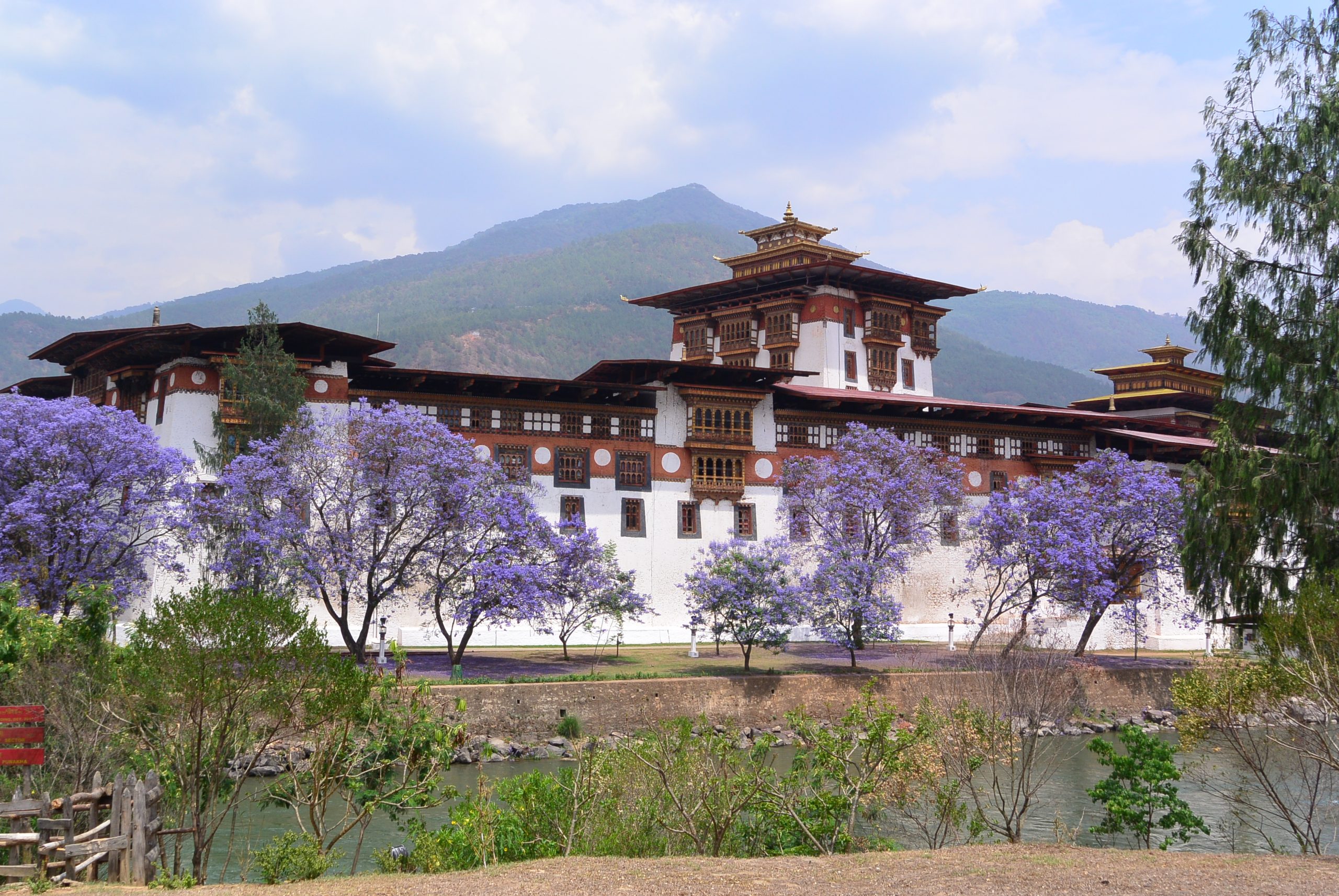 Magical Glimpse of Bhutan