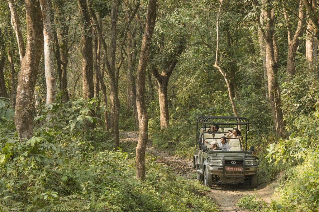 SAFARIS & WILDLIFE VIEWING in Chitwan Jungle