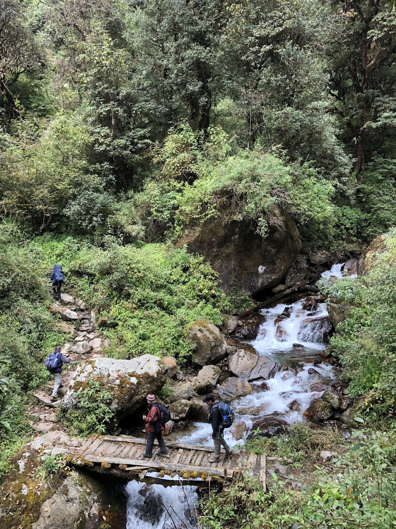 Community Eco Trail in the Annapurna & Dhaulagiri | Nepal