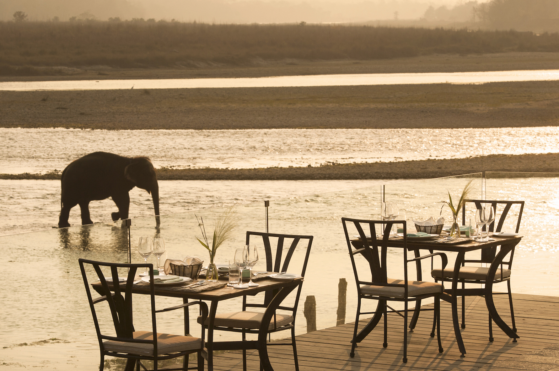 Best of Chitwan Safari