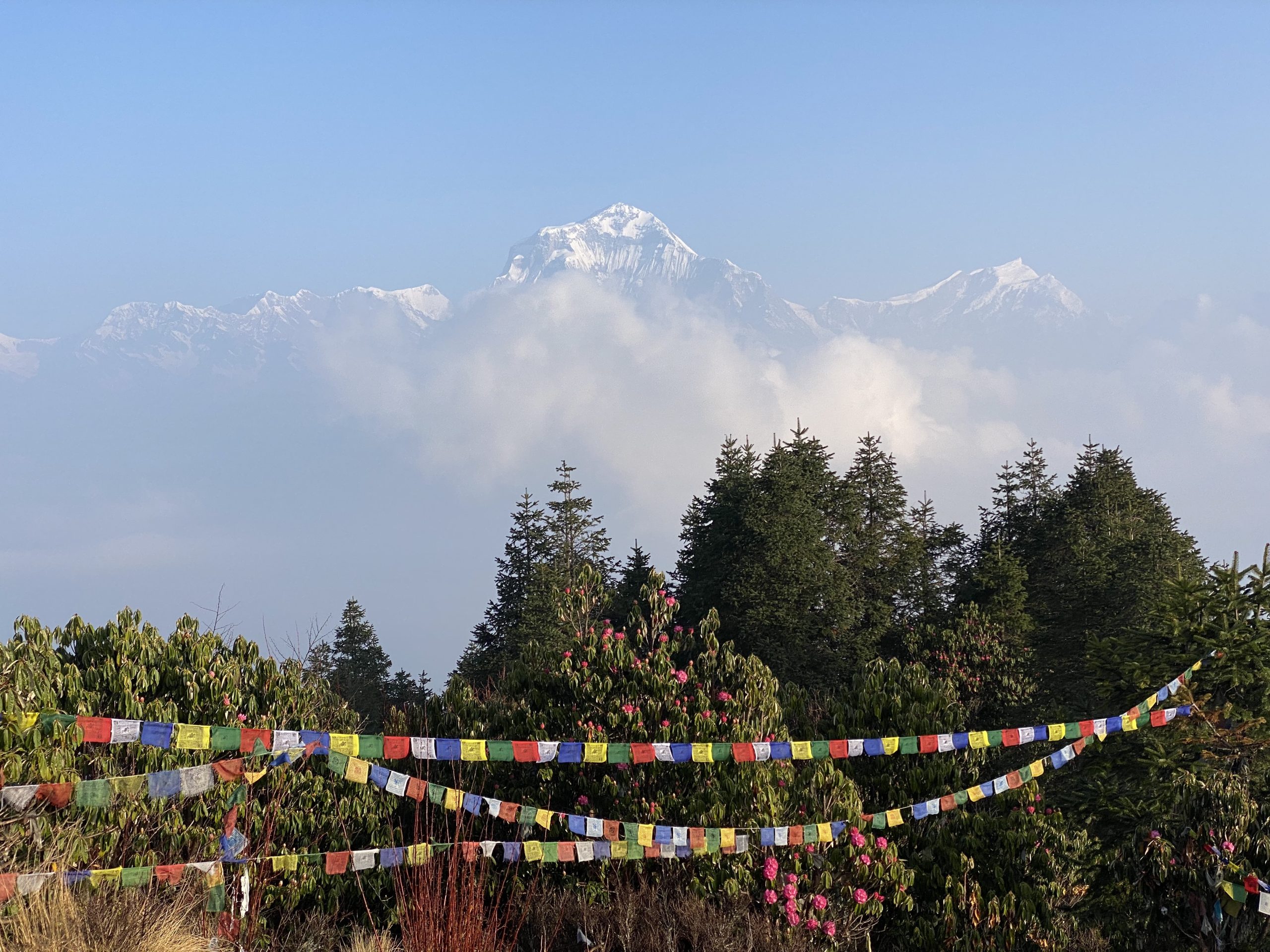 Short trek to Ghorepani and Poon Hill