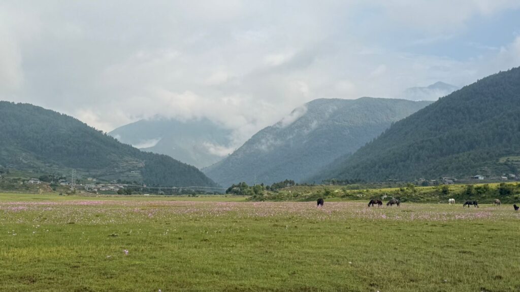 Dhorpatan Valley