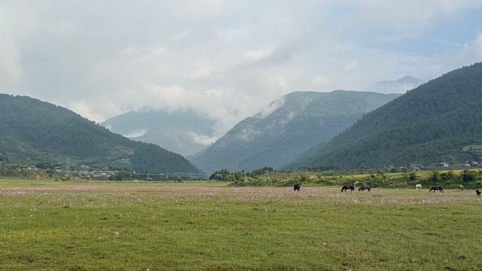 Dhorpatan Valley : Complete Travel Guide to Nepal’s Only Hunting Reserve