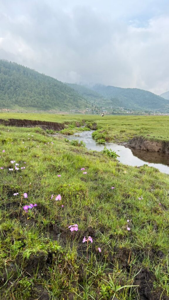 dhorpatan view