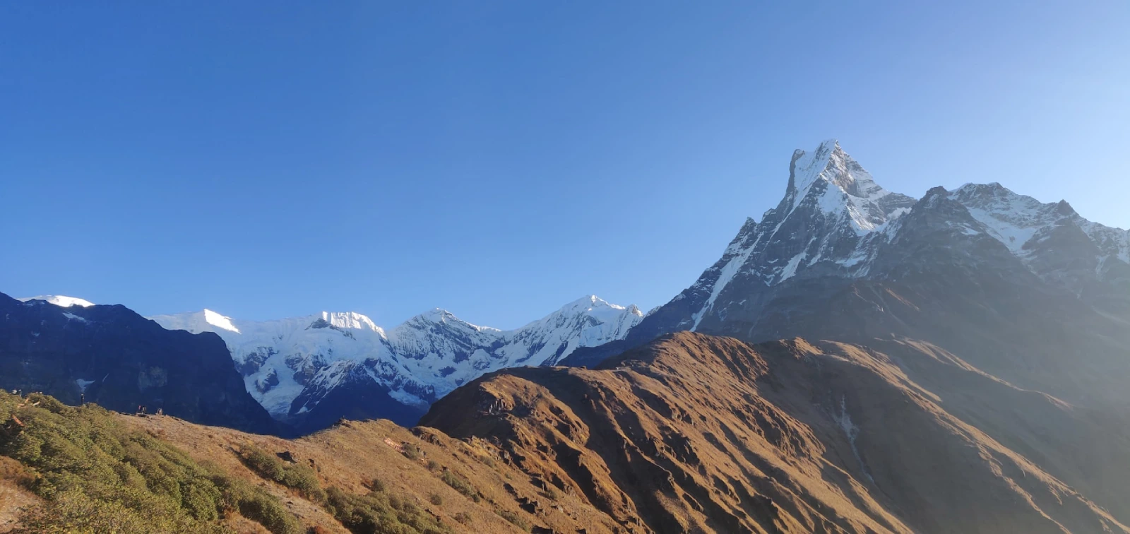Mardi Himal Trek Difficulty: How Hard Is the Trek?