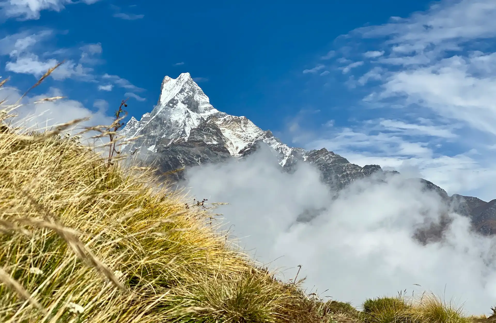 Mardi Himal Trek Solo A Complete Guide for Solo Travelers