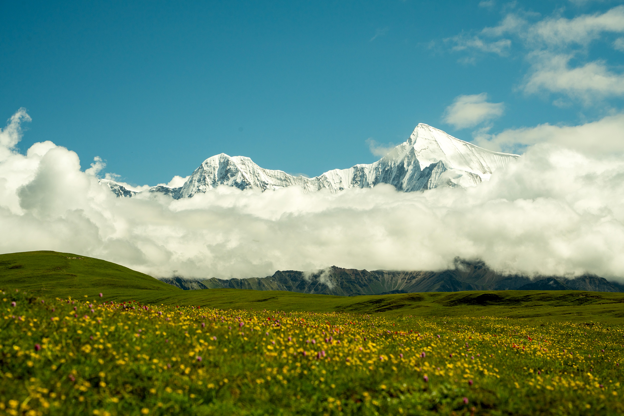 LOCAL EXPERT IN THE HIDDEN HIMALAYAS