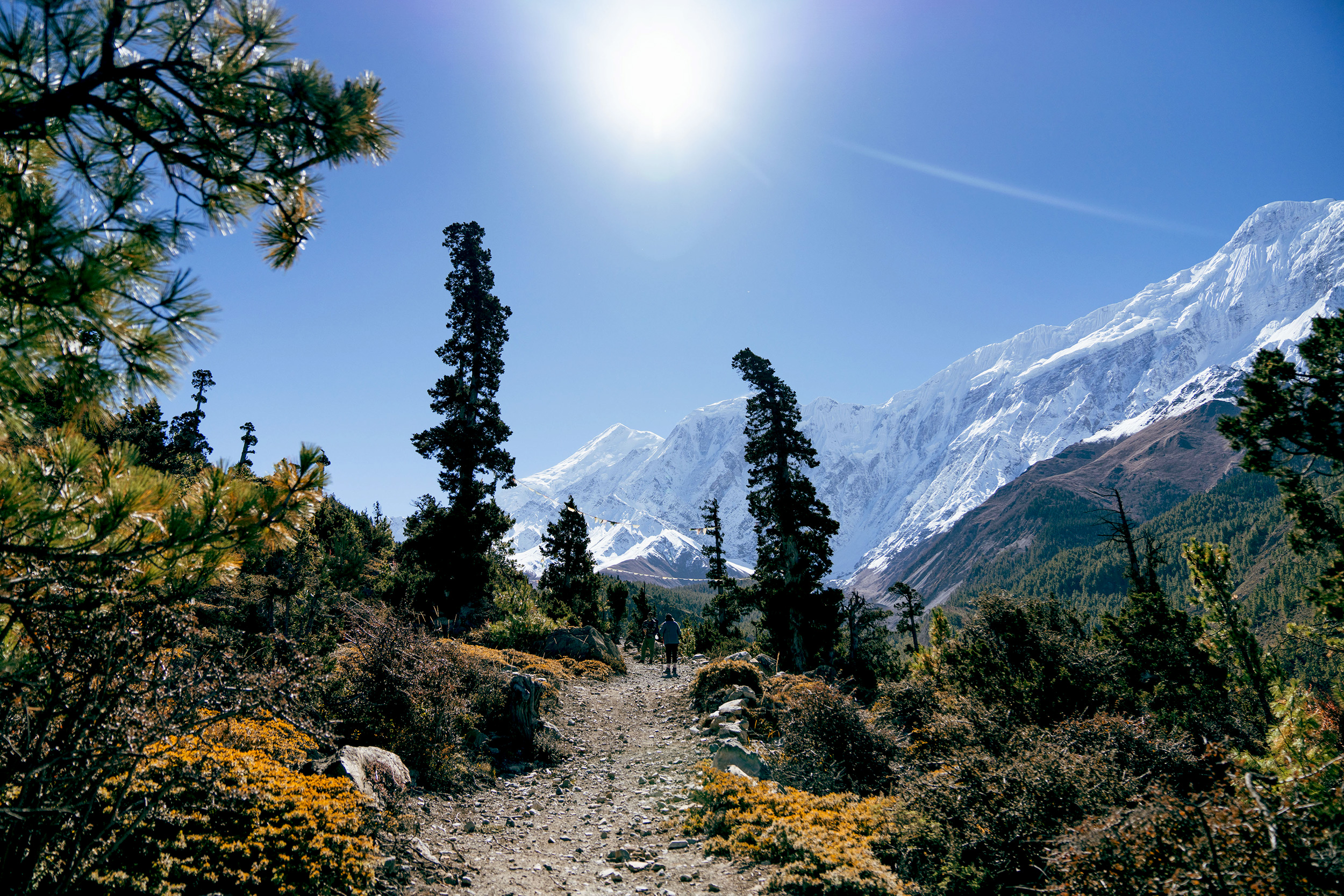 LOCAL EXPERT IN THE HIDDEN HIMALAYAS